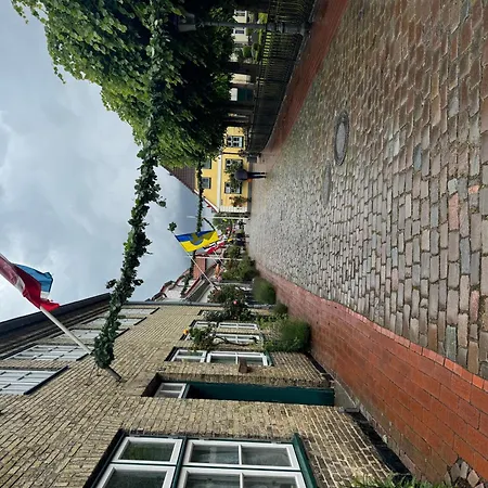 Kleine Lieblingsinsel Auf Dem Holm 石勒苏益格